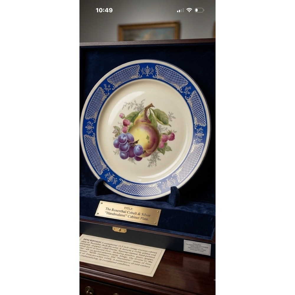 Vintage Rosenthal, Handmade Cabinet Plate. Hand Painted Fruit Motif with A Cobal